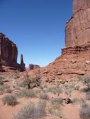Enlarge photo 239