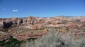 Enlarge photo 281