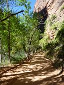 Enlarge photo 308