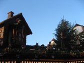 Enlarge photo 21