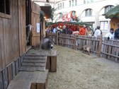 Enlarge photo 38