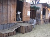 Enlarge photo 42