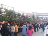 Enlarge photo 43