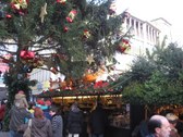 Enlarge photo 46