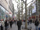 Enlarge photo 68