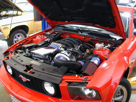 2005 Alphasonik Mustang