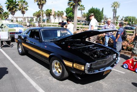 2009 Fabulous Fords