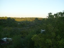 Enlarge photo 65