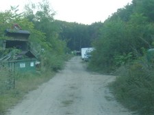 Enlarge photo 71