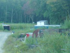 Enlarge photo 82