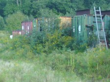 Enlarge photo 87