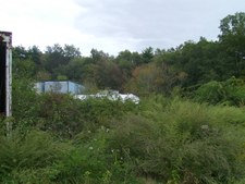 Enlarge photo 26