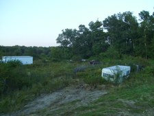 Enlarge photo 93