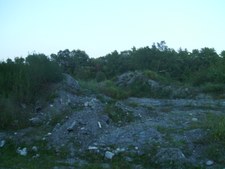 Enlarge photo 97