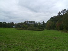 Enlarge photo 33