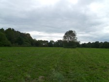 Enlarge photo 35