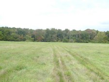 Enlarge photo 36