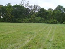 Enlarge photo 37