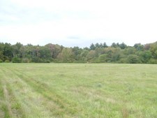 Enlarge photo 38