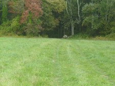 Enlarge photo 39