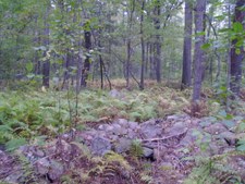 Enlarge photo 44