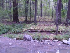Enlarge photo 45