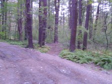 Enlarge photo 46