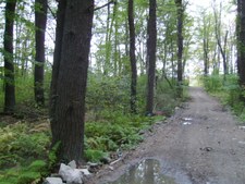Enlarge photo 47