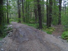 Enlarge photo 48