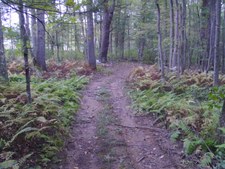 Enlarge photo 51