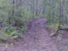 Enlarge photo 52