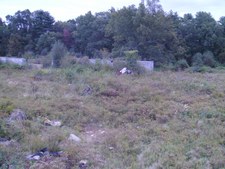 Enlarge photo 53