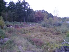 Enlarge photo 54