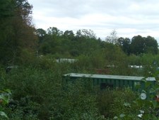 Enlarge photo 63