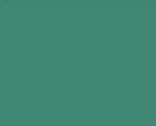 728%20leaf%20Green.bmp.jpg