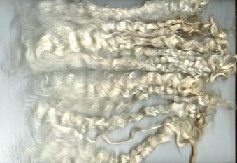 washed locks
