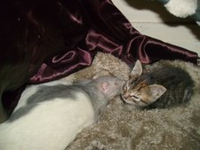 Enlarge photo 2