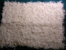 novelty pelts