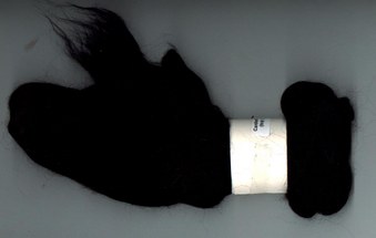 Enlarge photo 37