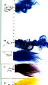 Enlarge photo 51