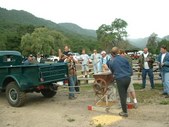 Enlarge photo 84