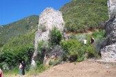 Enlarge photo 67