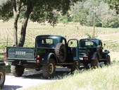 Enlarge photo 89