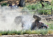 Enlarge photo 243