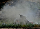 Enlarge photo 245
