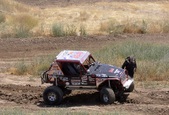 Enlarge photo 48