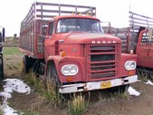 Enlarge photo 116