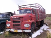 Enlarge photo 115