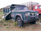 Enlarge photo 146