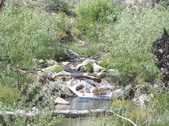 Enlarge photo 60